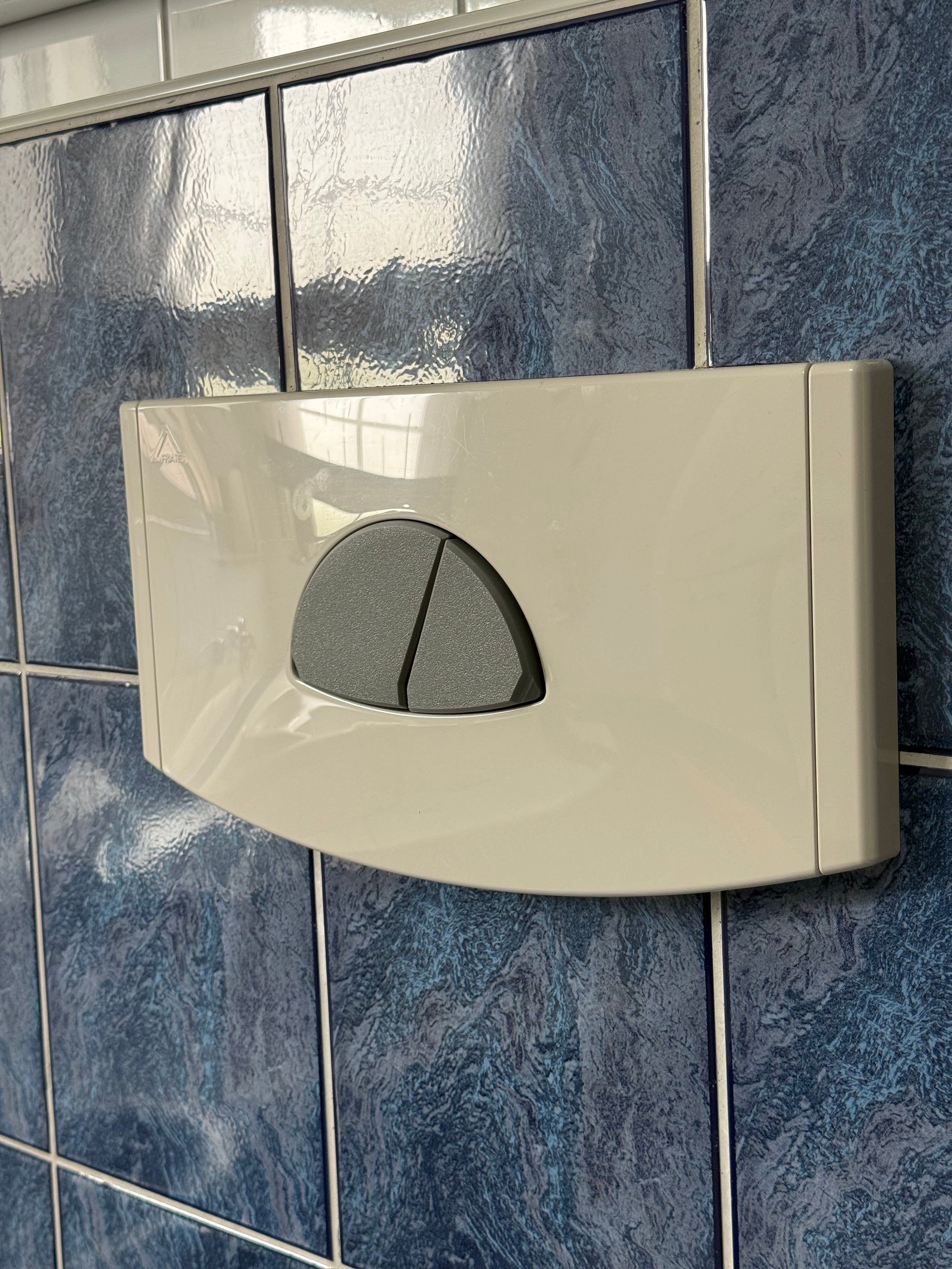 Friatec Drucktaster Toilettenspülung Ersatzteil Dunkelgrau